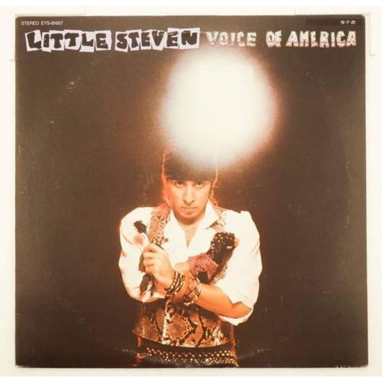 Пластинка Little Steven Voice Of America